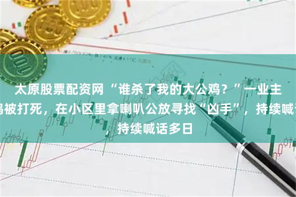 太原股票配资网 “谁杀了我的大公鸡？”一业主宠物鸡被打死，在小区里拿喇叭公放寻找“凶手”，持续喊话多日